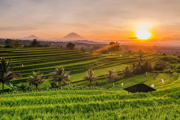 ubud bali